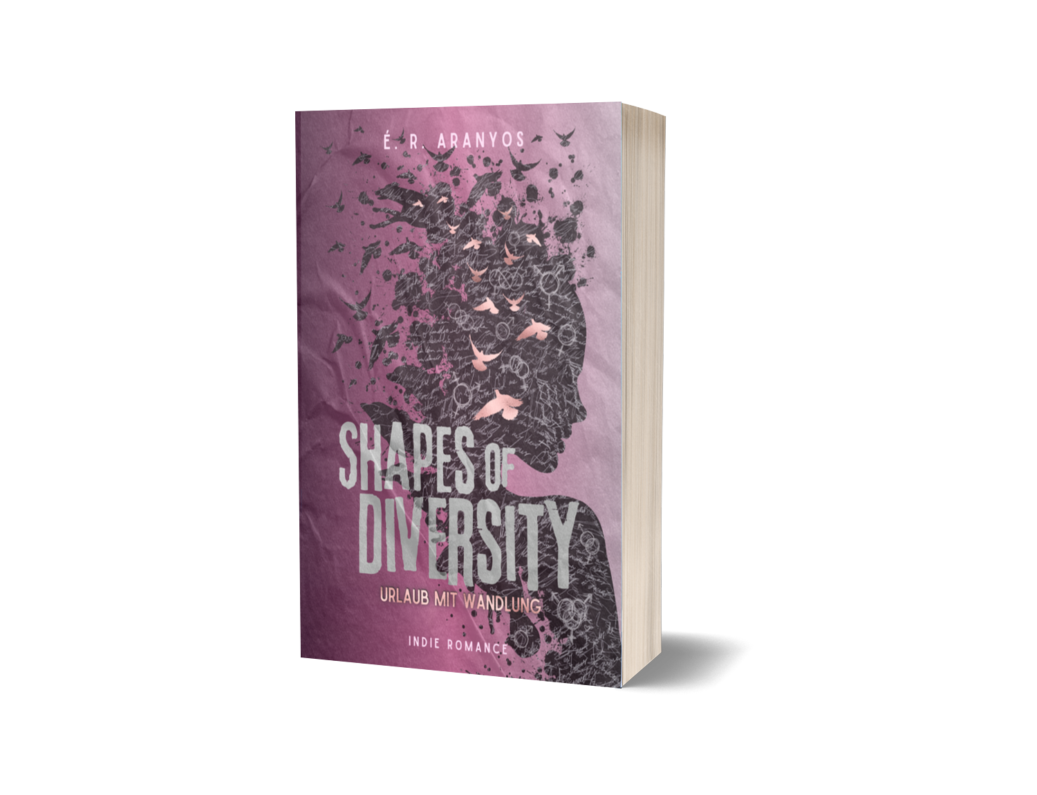 Buchbox Extra: Shapes of Diversity - Urlaub mit Wandlung, Farbdruck signiert